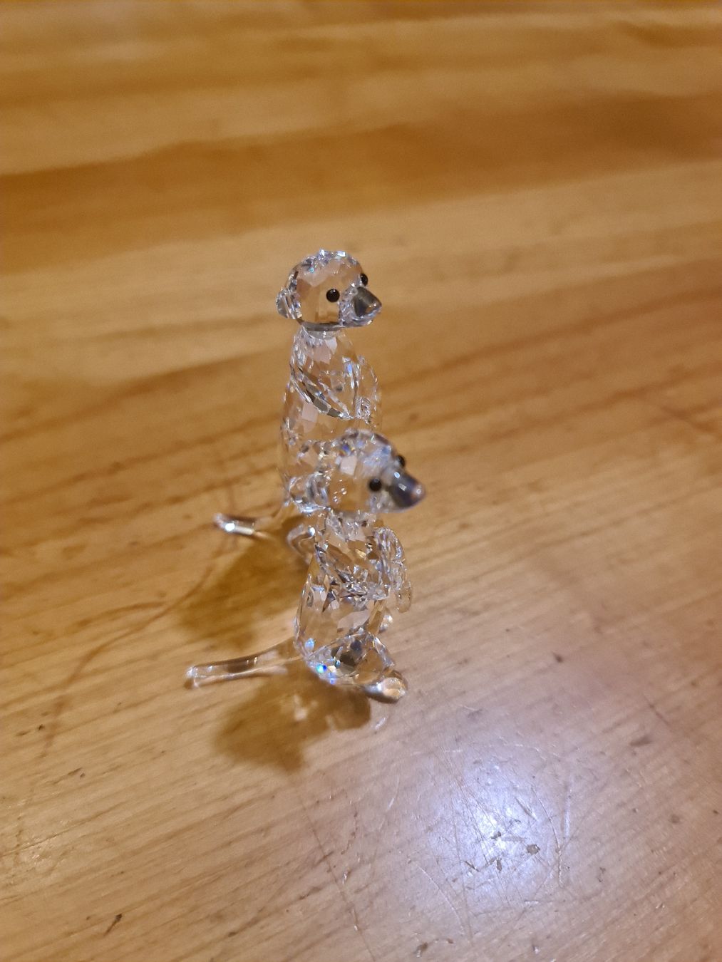 Swarovski Figuren: Swarovski Figur Erdmännchen Originalverpackt – Neu (gemäss Beschreibung) aus henau von Rockj 1