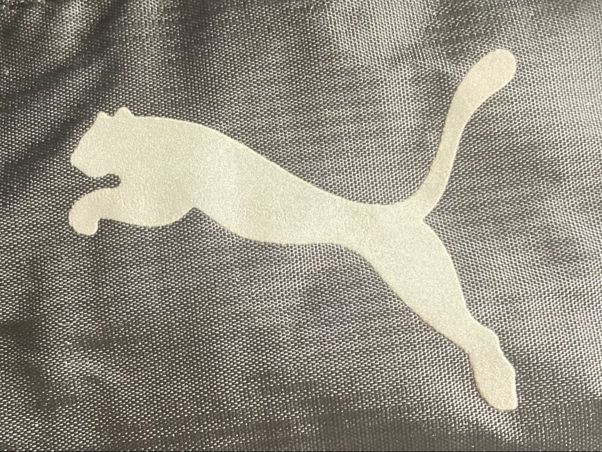 Puma Borse: Puma Sporttasche – Usato da St.Gallenkappel venduto da apopka 2