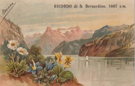 AK San Bernardino 1908 vista lago e fiori con tema alpino.