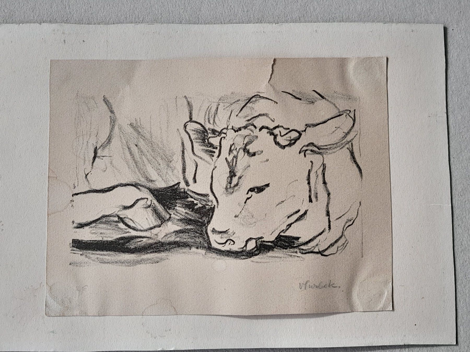 Grafica & Litografie: Litho Victor Surbek " Kälbchen " – Usato da Thun venduto da Treff.....e 1