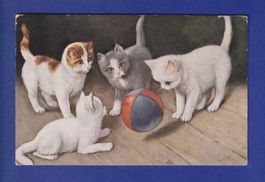 CHAT - 4 chats et une baballe // pli //