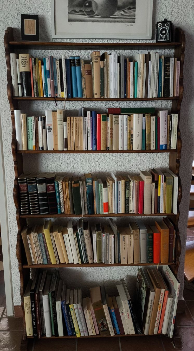 Scaffali: Bibliothèque faite main – Usato da Porrentruy venduto da NGiorda