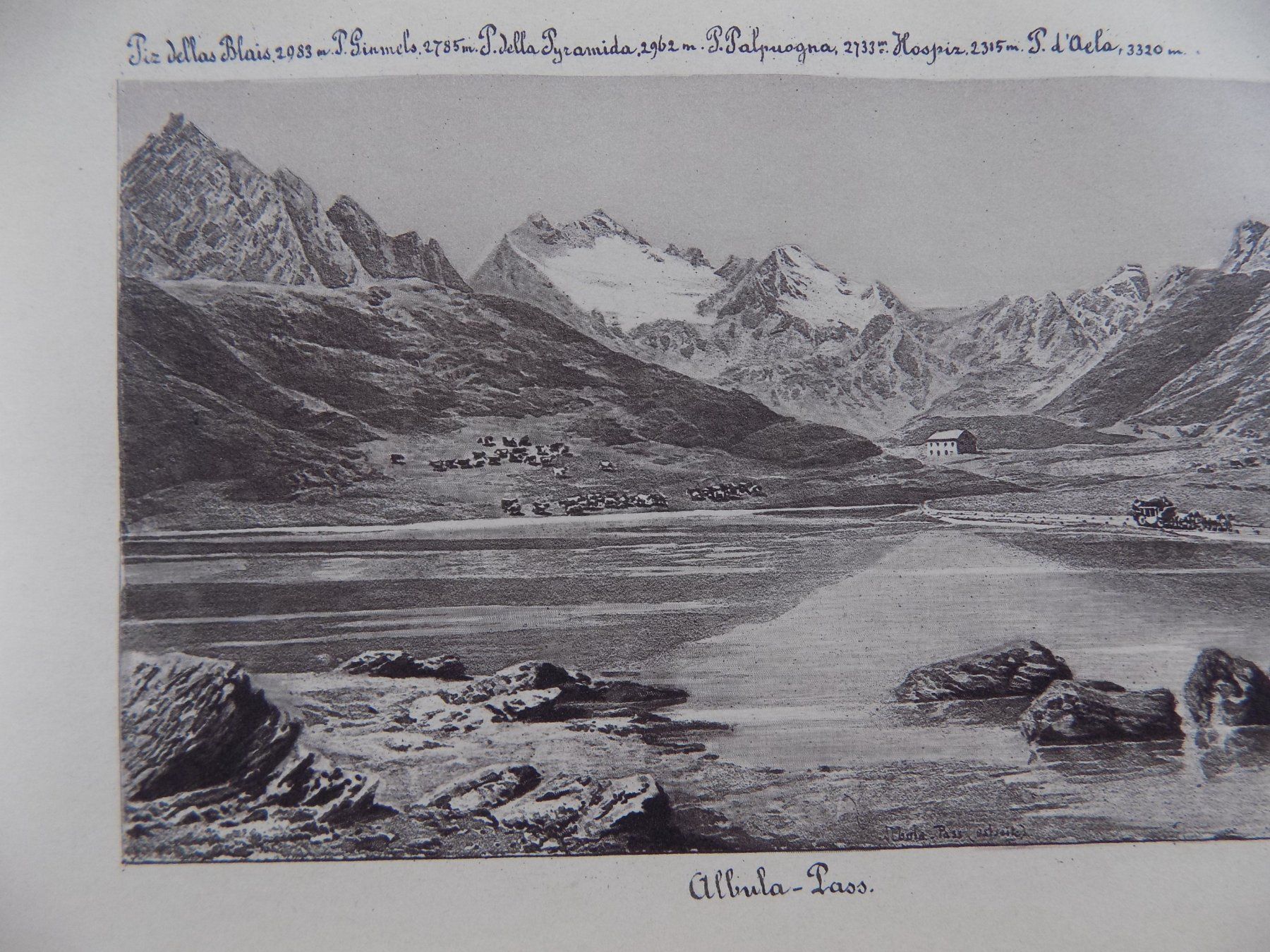 Stiche: Albula Pass – Gebraucht aus Risch von Rischli15 4