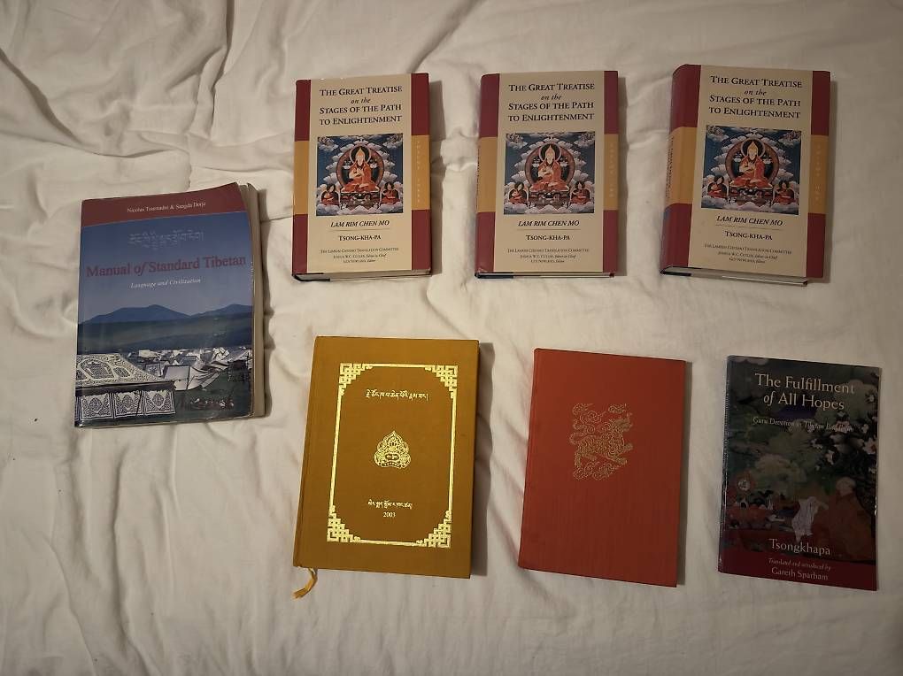 Libri: Impressionen aus Tibet – Usato da Basel venduto da SuraCh 2