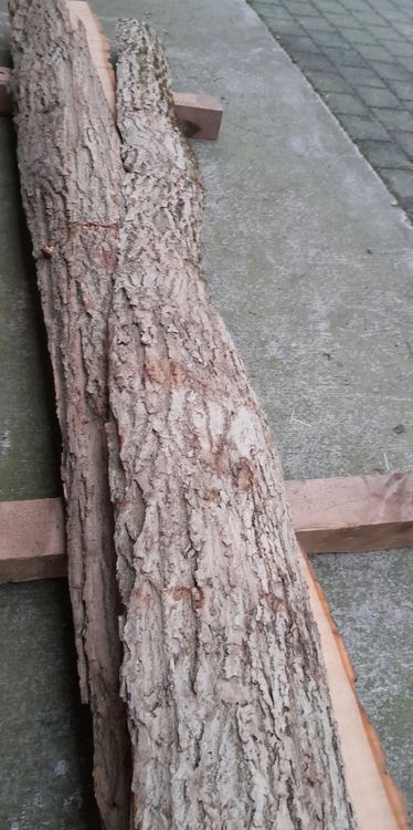 Articoli in legno: Eschen Holz – Nuovo (secondo la descrizione) da Grosswangen venduto da paluki 6