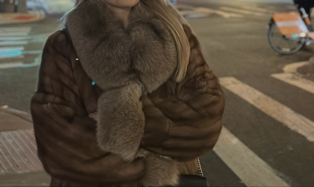Mäntel: Mink Fur Coat – Neu (gemäss Beschreibung) aus Uster von ver_85ng 1