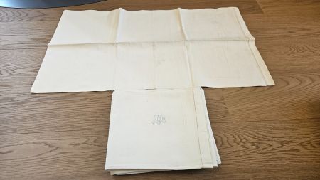 6 federe cifrate AM 47x81 cm