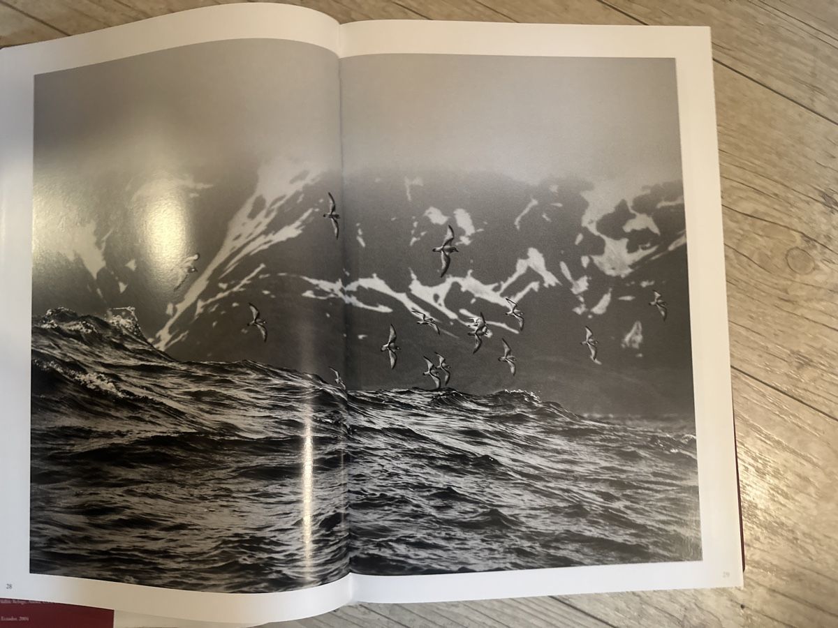 Libri: Sebastião Salgado Genesis Bildband Taschen – Usato da Frauenfeld venduto da aluma14 2