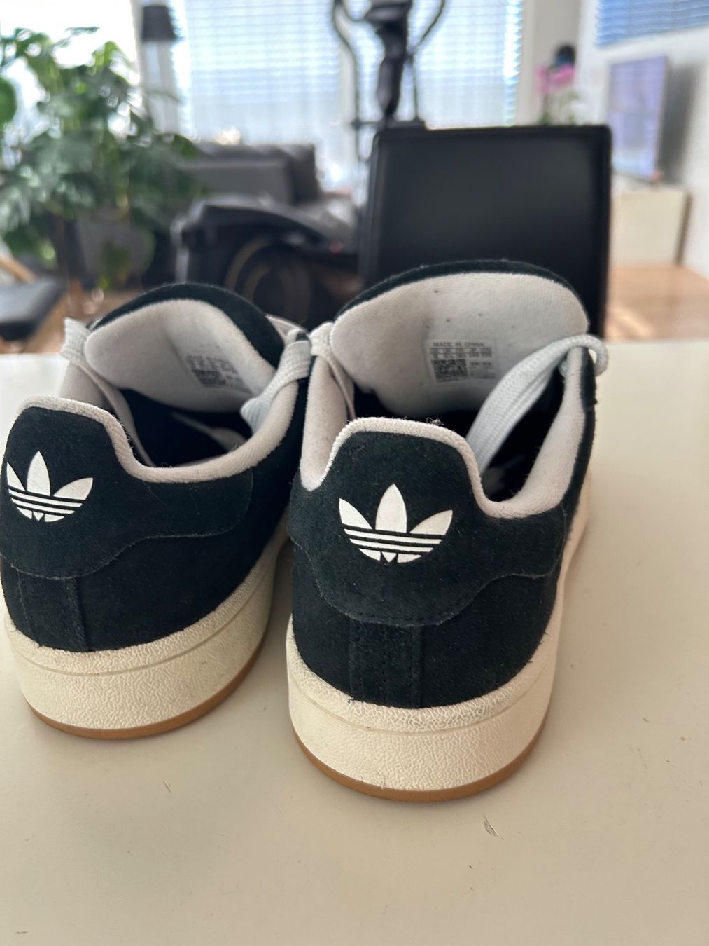 Adidas Scarpe da uomo: Adidas Originals Campus – Usato da Schüpfen venduto da Anjah 1