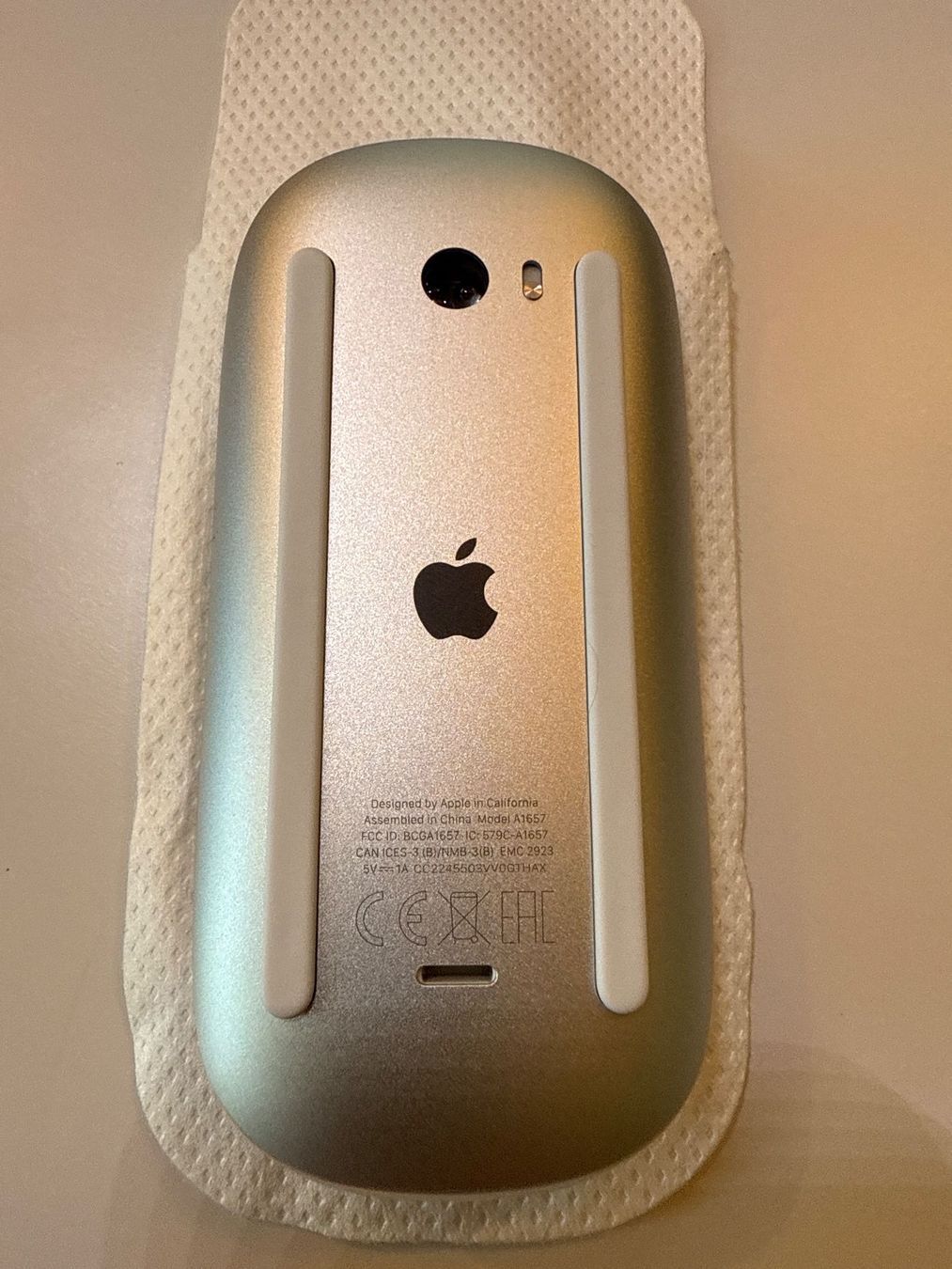 Apple Mouse: APPLE Magic Mouse - Multi-Touch Oberfläche Maus, Kabellos – Nuovo e nell'imballaggio originale da Häusernmoos venduto da BarBer_1 1