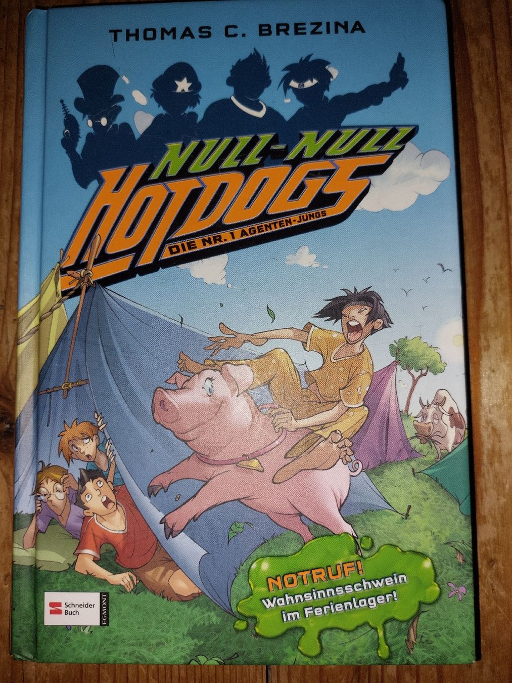 Bücher: NULL - NULL HOTDOGS – Gebraucht aus Effretikon von jea_yq2t