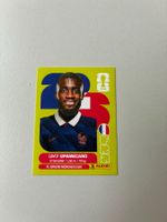 Carte panini 2026 - FRA 7