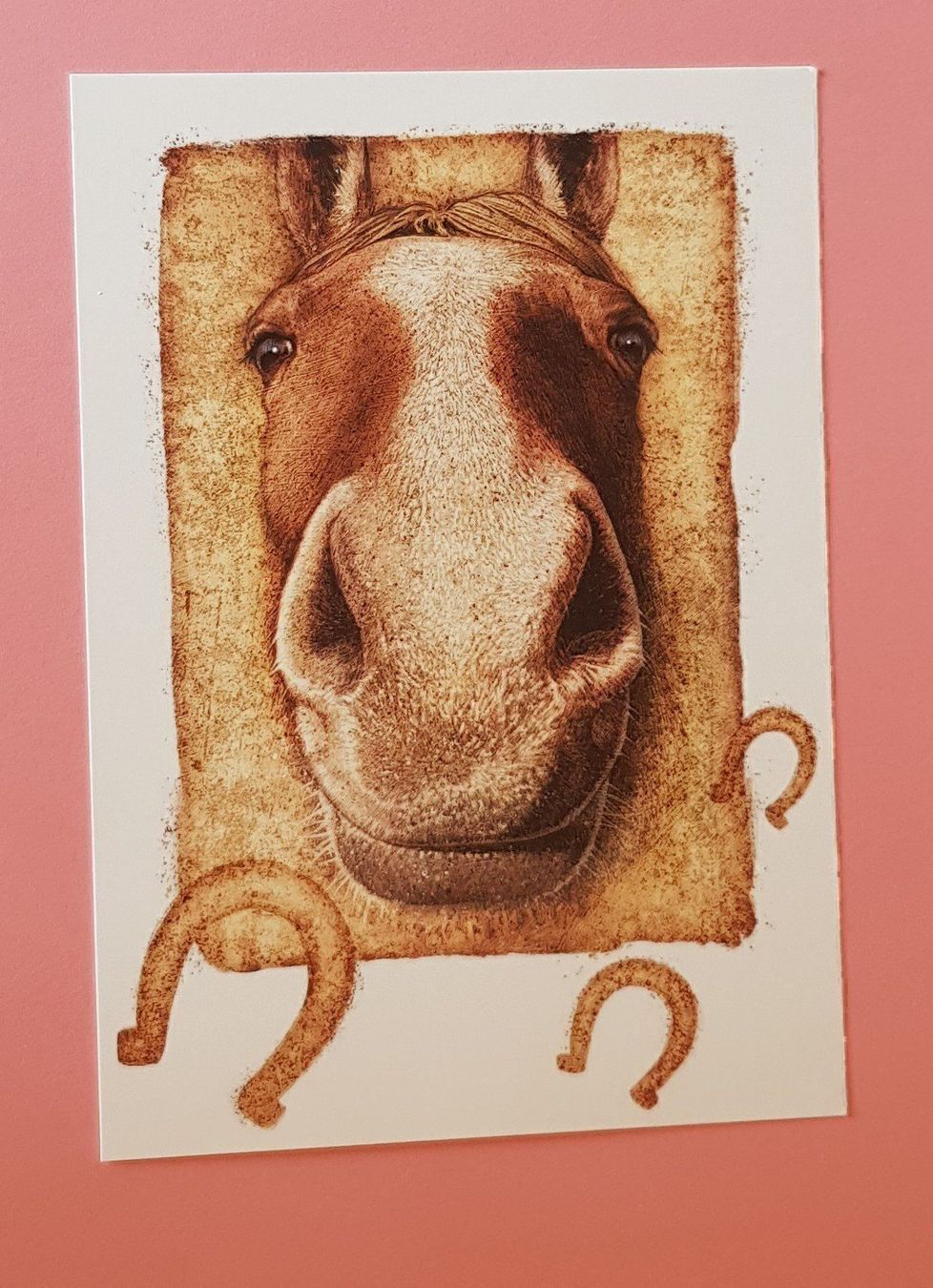 Cartoline: Postkarten 4 Subjekts TIERE – Nuovo e nell'imballaggio originale da Zürich venduto da Avd 5