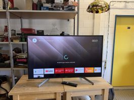 Sony Fernseher 43 Zoll KD-43XG8096 guter Zustand