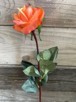Kunstrosen/Orange/Marke Luwatex/UV beständig/Neu/OVP