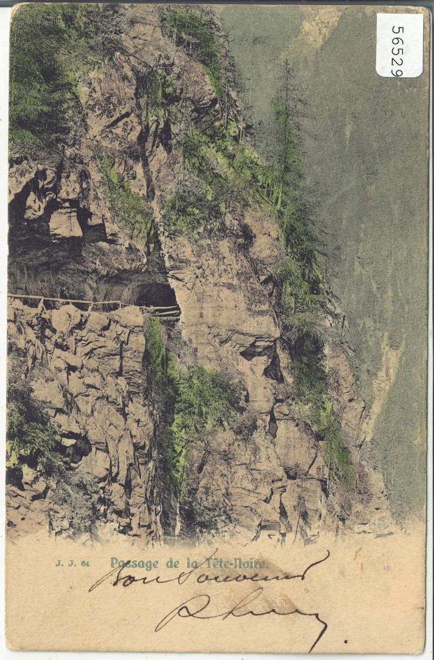 Cartes postales: Passage de la Tete-Noire - coloriert – D'occasion à Ettingen par Kartenplanet