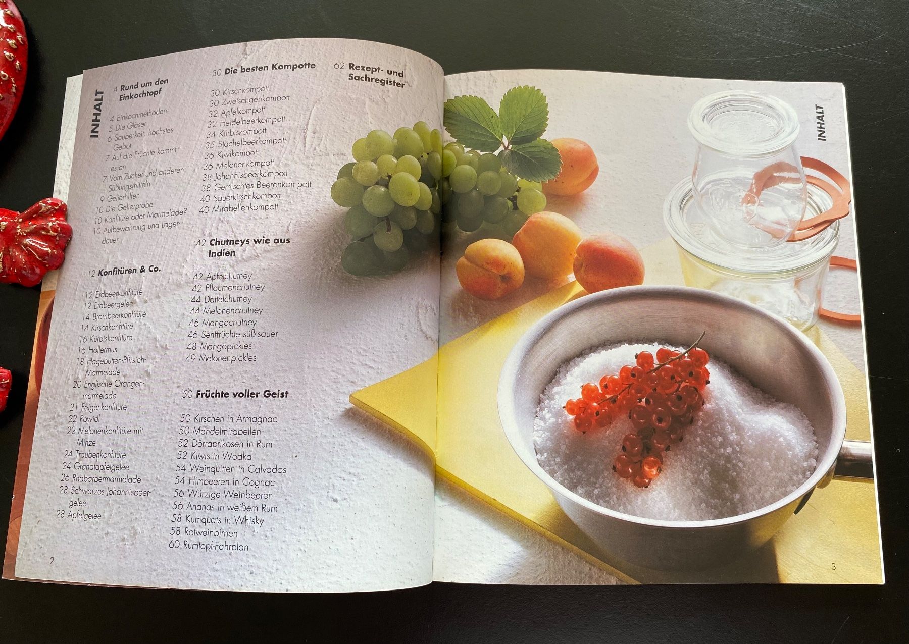 Libri: Einmachen / GU Ratgeber – Usato da Nussbaumen AG venduto da schuba2000 4