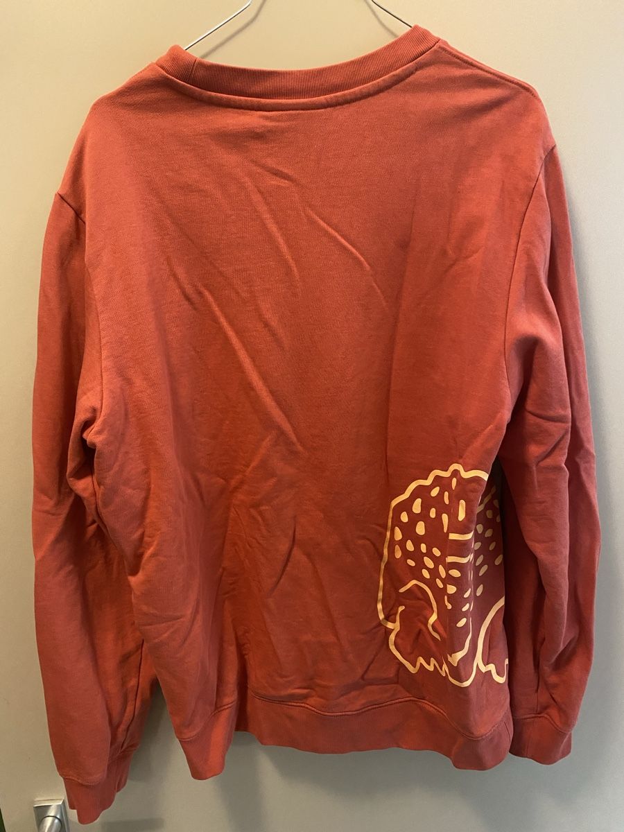 Lacoste Maglioni & Felpe: LACOSTE Pulli, Gr.(4)M – Usato da Greifensee venduto da Chris286 1