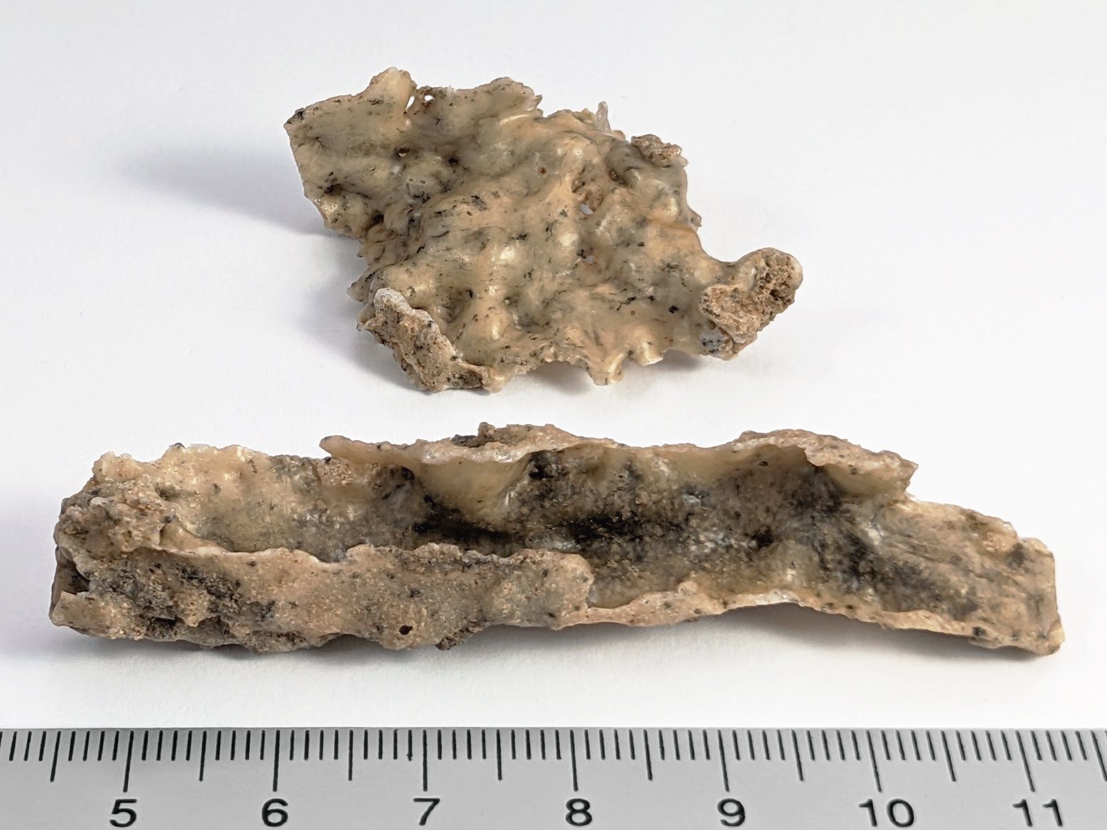 Minerali & Pietre curative: Fulgurit-Blitzrohr 2Stk. 7,0cm und 4,2cm – Nuovo e nell'imballaggio originale da Meilen venduto da StoneGarden 1