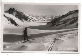 ALETSCHGLETSCHER Blick vom Jungfraujoch - Ski-Läufer