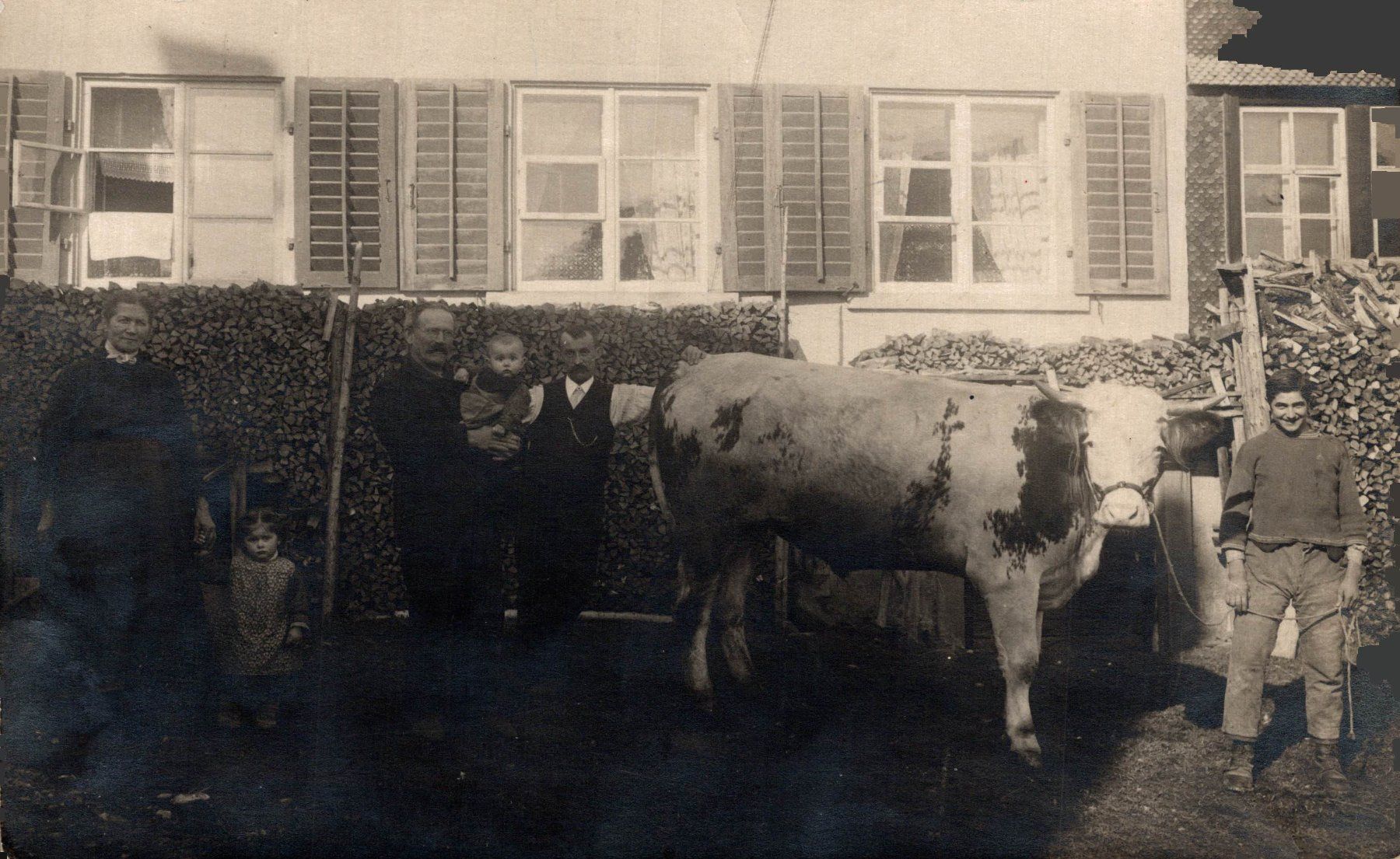 Cartoline postali: Friltschen. Bauernfamilie mit Stier – Usato da Bronschhofen venduto da Astore