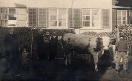 Friltschen. Bauernfamilie mit Stier
