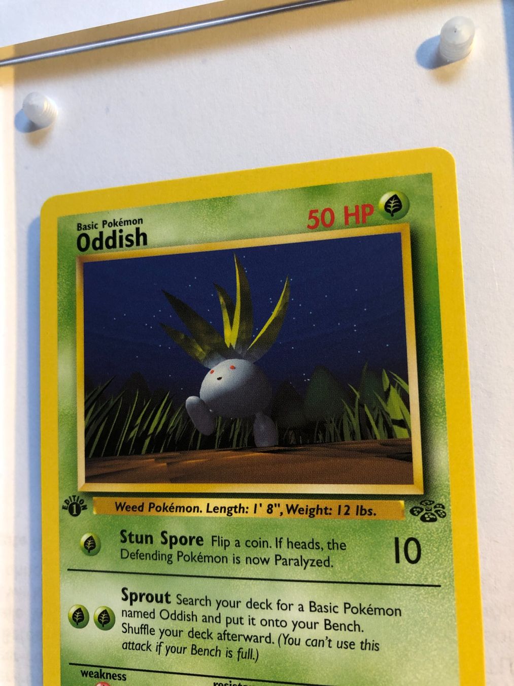 Cartes à collectionner: Oddish 1st Jungle - MINT - ab 1.- – D'occasion à Giubiasco par dan_pr8b 3