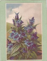 Kitsch Blumen Enzian