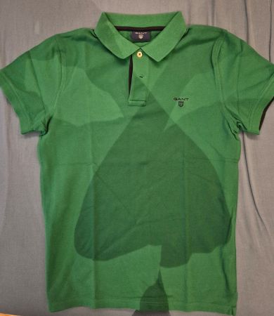 Polo Gant vert
