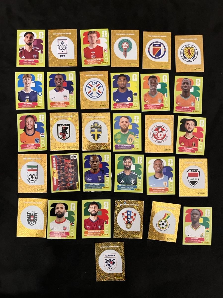 Panini Carte collezionabili: 31 Panini WM Sticker – Nuovo (secondo la descrizione) da Stäfa venduto da greety1981