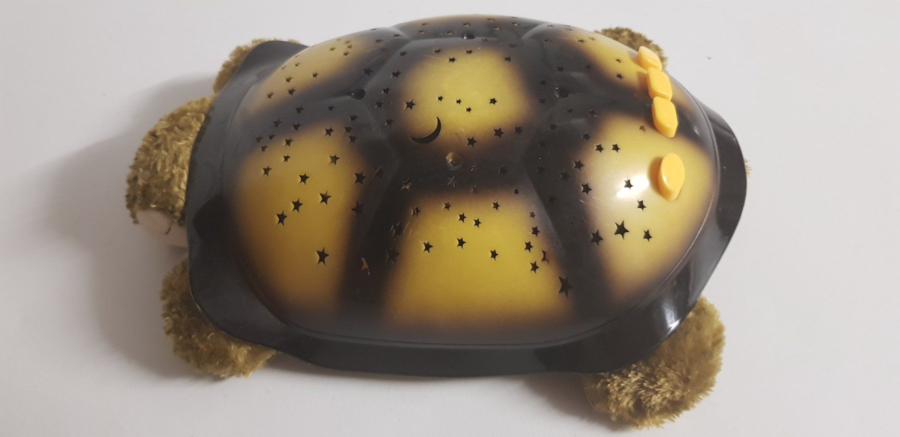 Lampade: Schildkröte mit Licht – Usato da Maienfeld venduto da Faentli1
