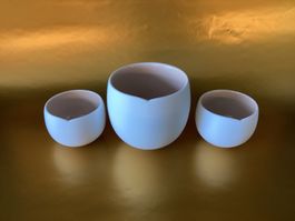 NESPRESSO / 2 Espressotassen plus 1 Kaffeetasse