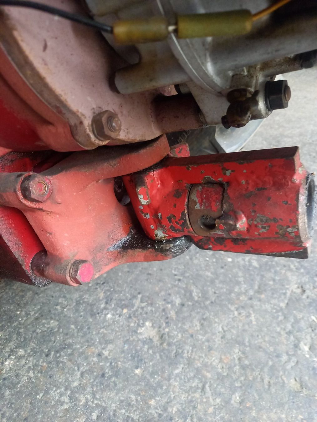 Grunder Tutte le macchine: Grunder Einachser P3V – Usato da Ziefen venduto da alonso1234 9