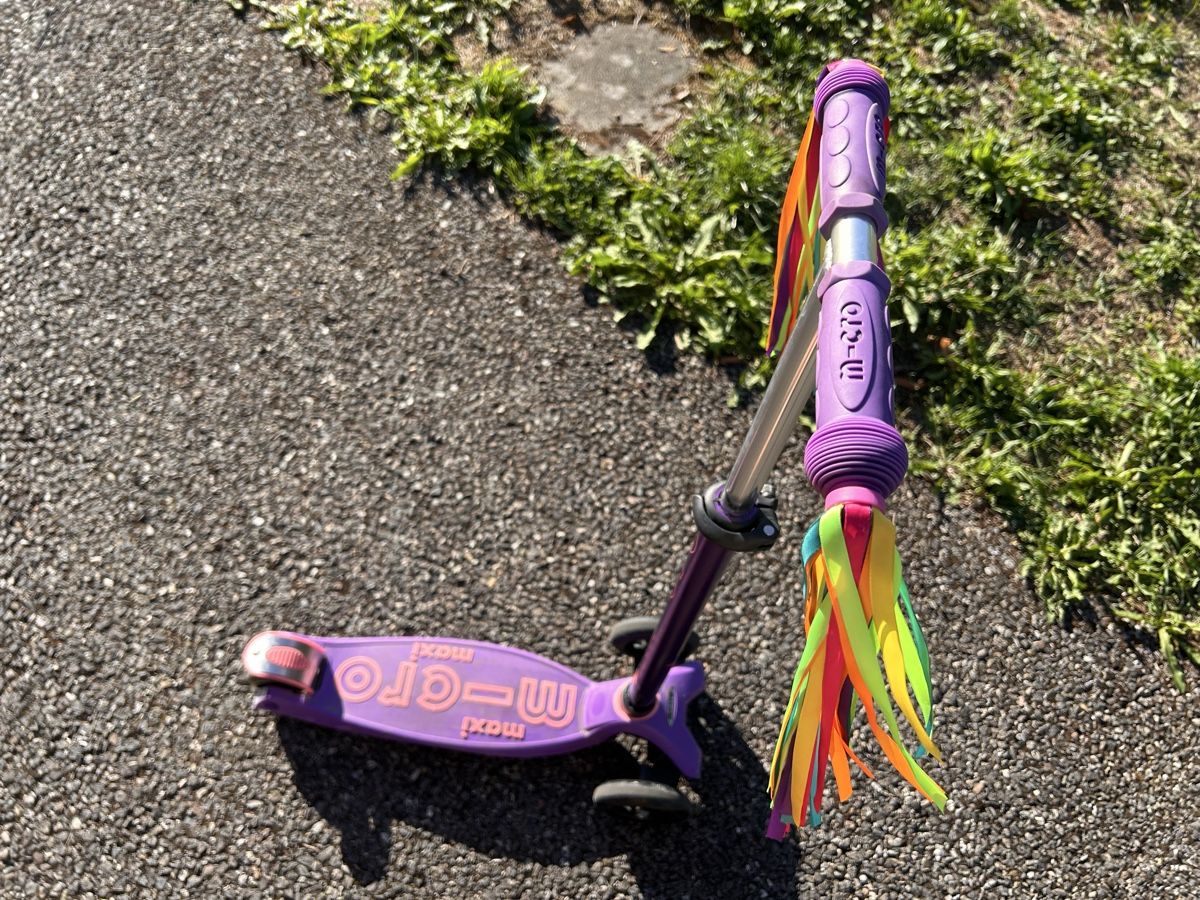 Micro Kickboard: Micro Maxi Scooter Trottinett – Gebraucht aus Bern von Starbacks 1