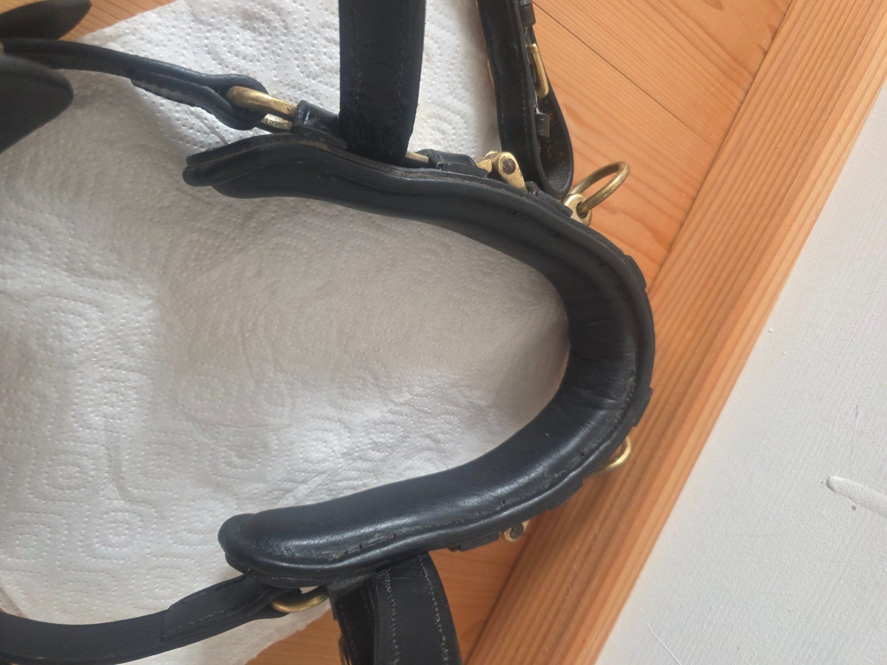 Zaumzeug & Halfter: Kappzaum MONTIVUM Gr. X-Warmblut – Gebraucht aus Enggistein von markaris 5