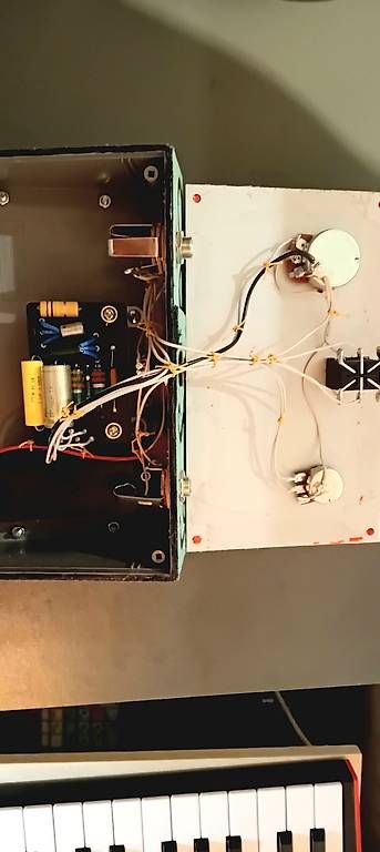Strumenti musicali: Nullfusion Foxy Face "Jungle" – Usato da Arni AG venduto da Rafael5179 4