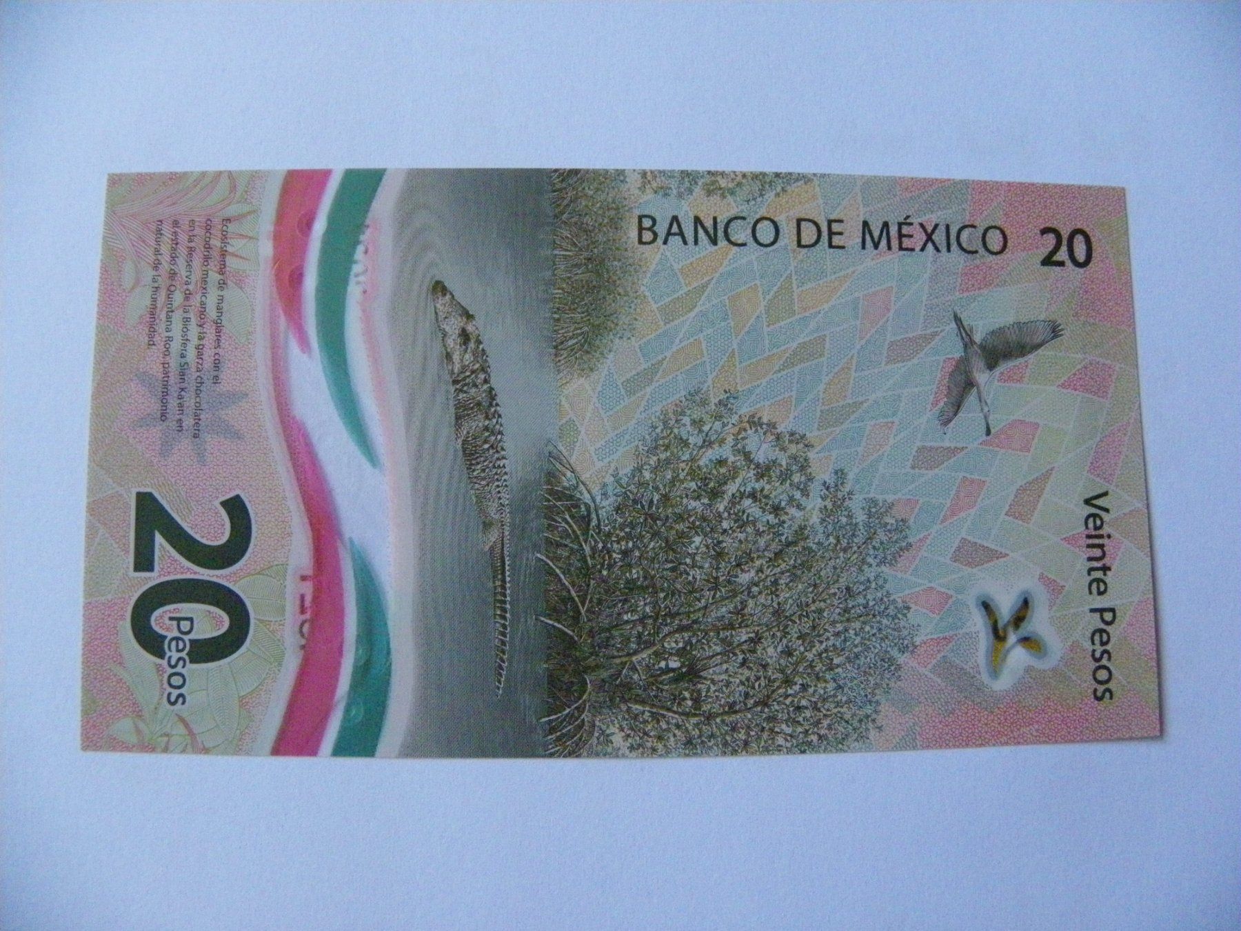 Banconote: Mexico 20 Pesos Commemorative 2021, Polymer Unc – Nuovo (secondo la descrizione) da Untersiggenthal venduto da Gas61 1