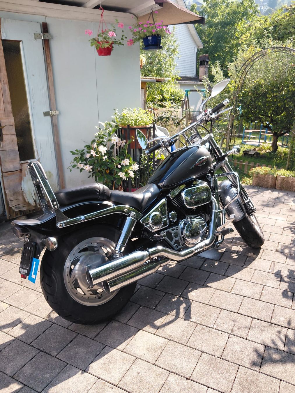 Suzuki Chopper: Motorrad Suzuki VZ 800 – Gebraucht aus Flums von picowil 2