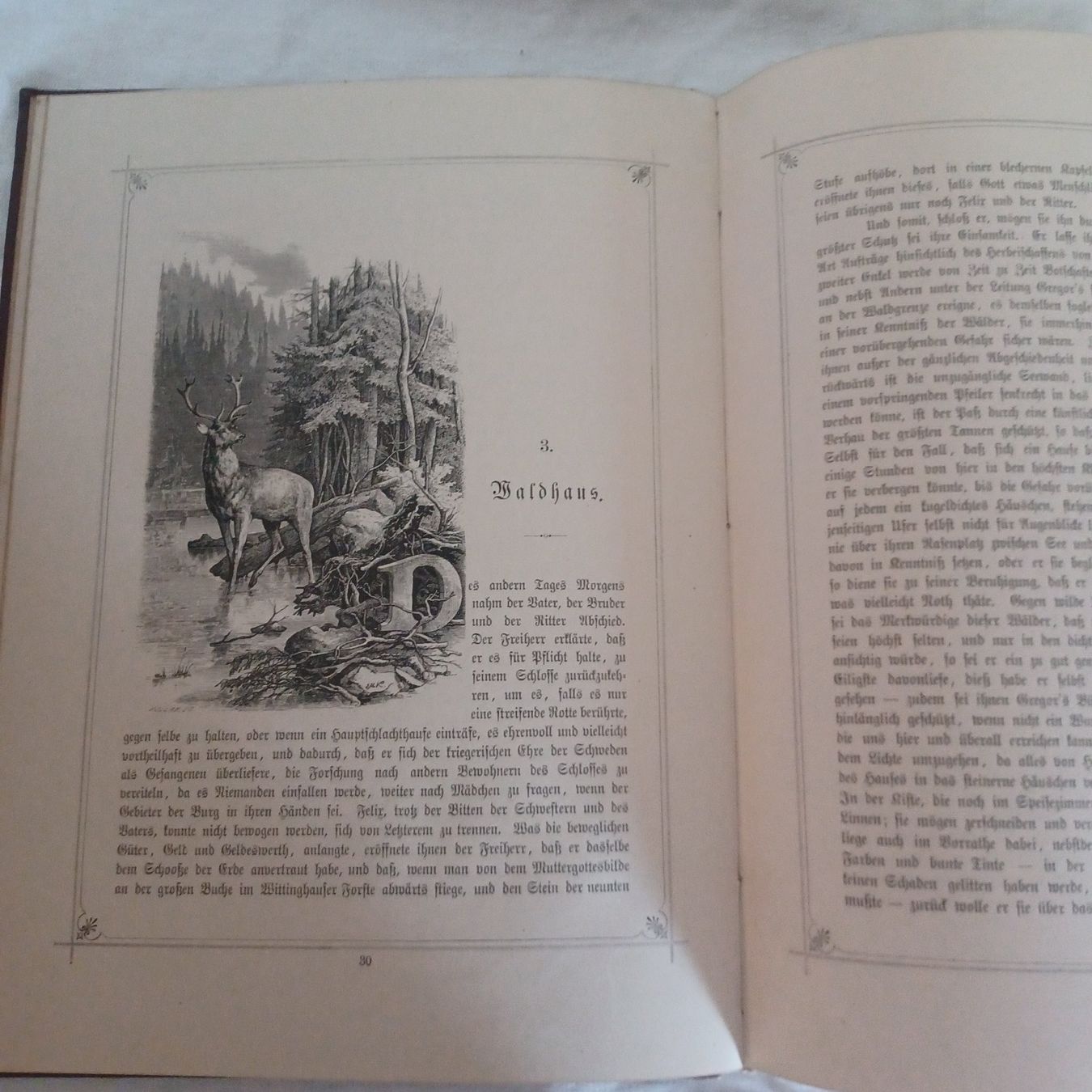 Livres: Buch derHochwald Leibzig1882 – D'occasion à Abtwil SG par luupsy 4