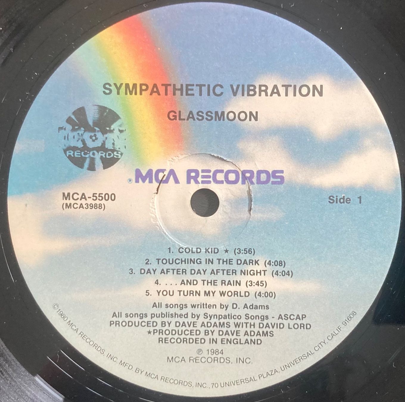 Dischi in vinile: GLASSMOON - SYMPATHETIC VIBRATION – Usato da Poliez-Pittet venduto da Newtown-Records 2
