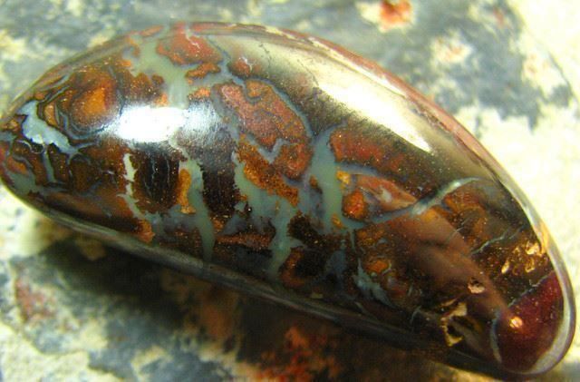 Pietre preziose: Australischer Boulder Opal 49.70Cts. – Usato da Bern venduto da Grindelwaldaus 2