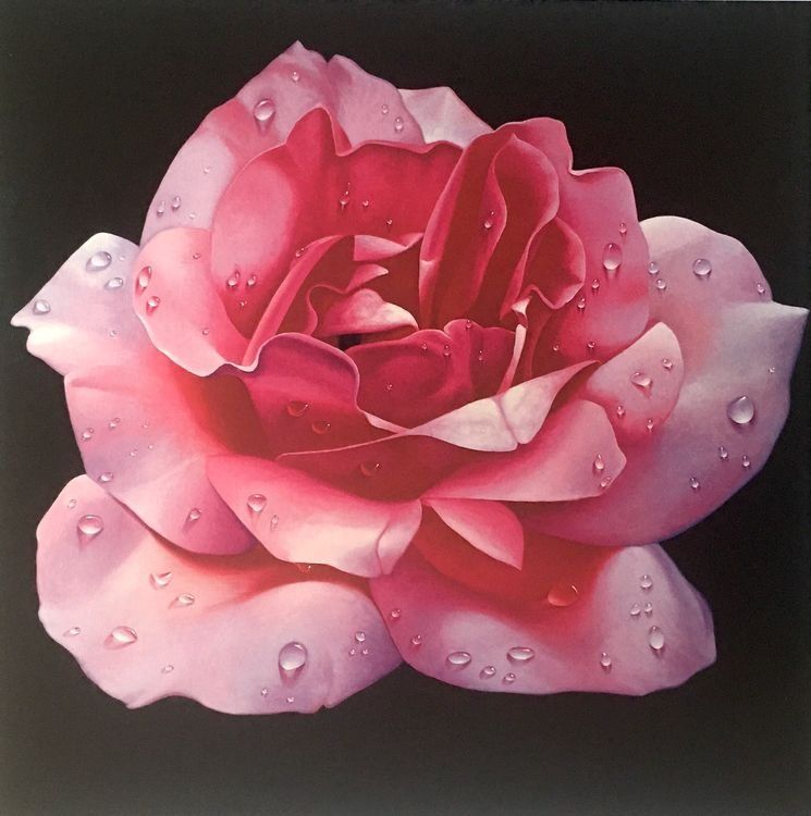 Grafica & Litografie: Franco Campana       4 KUNSTDRUCKE   "Rosen" – Usato da Nennigkofen venduto da Schamane75 3