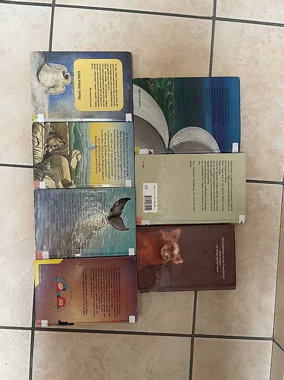 Bücher: Verschiedene Jugendbücher – Gebraucht aus Hasliberg Wasserwendi von dom_v2qk 1