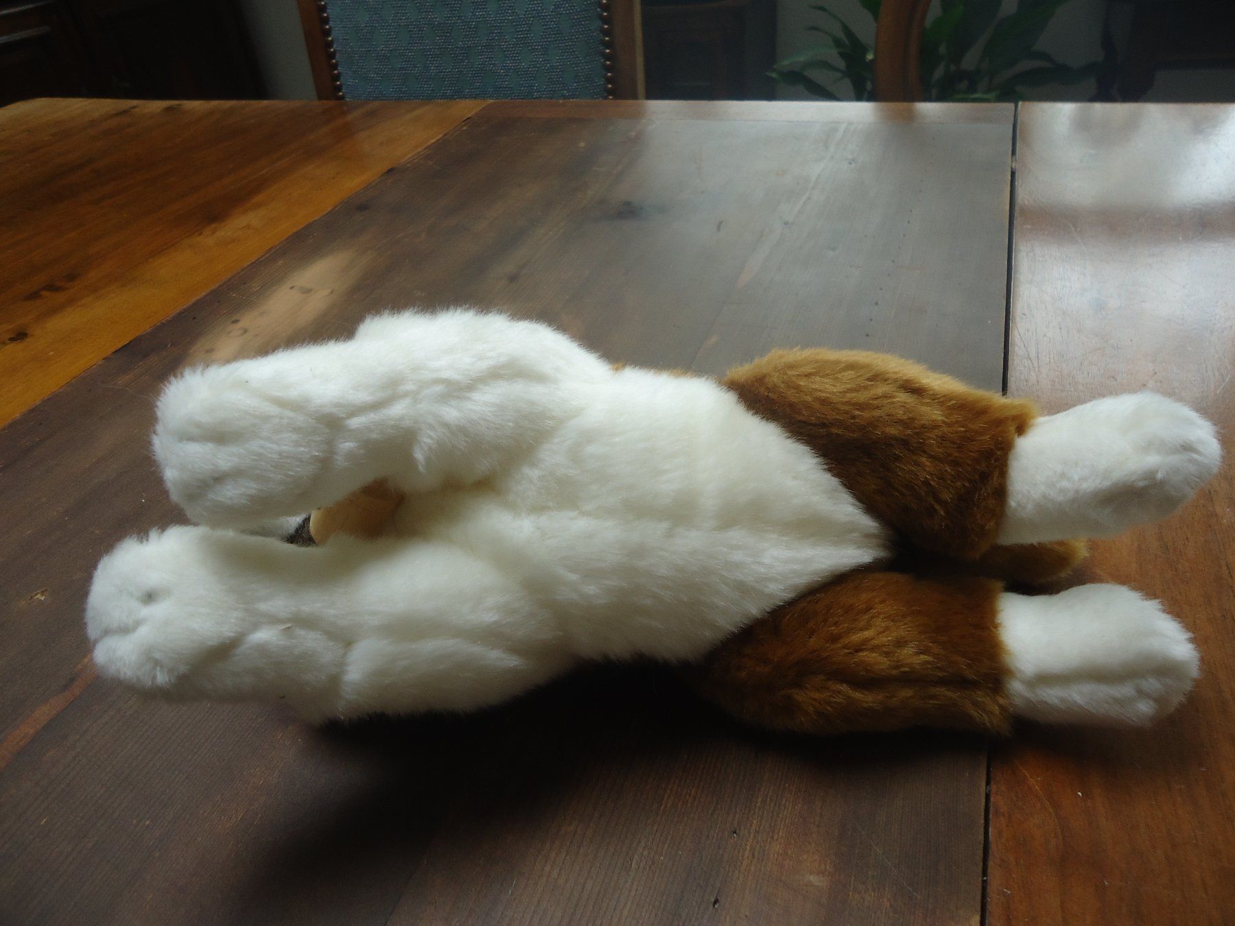 Giocattoli: Peluche de chiot Saint-Bernard couché endormi - Neuve – Nuovo (secondo la descrizione) da Vessy venduto da mafabe 2