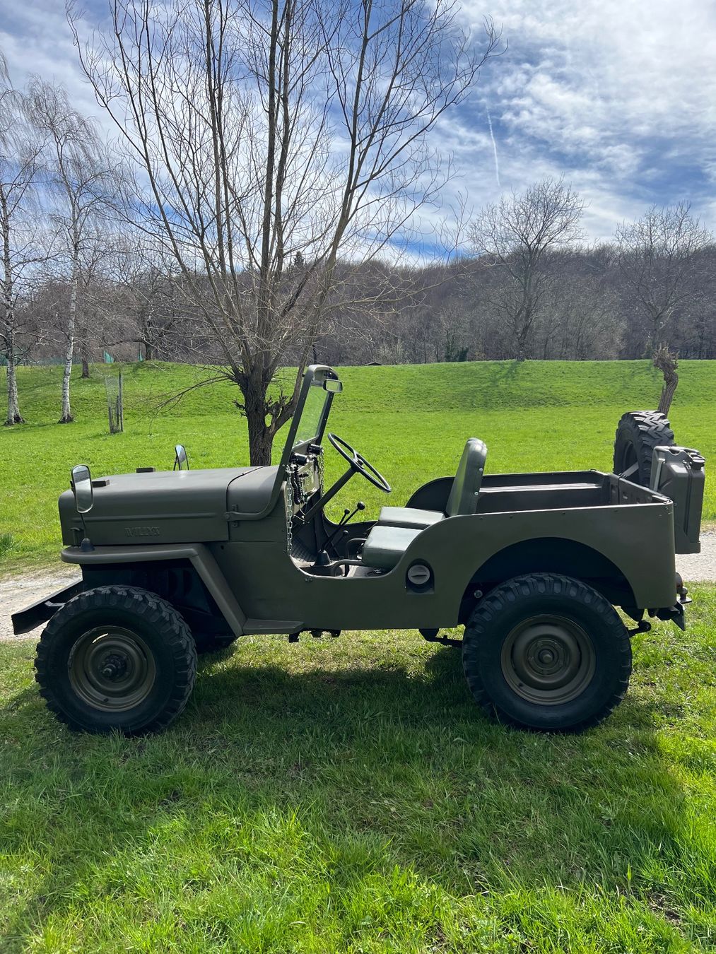 Jeep Automobili: Jeep Willys CJ3B - 6V – Usato da Lugaggia venduto da ego_872v 2