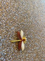 Goldene Libellen Brosche mit Steinchen verziert