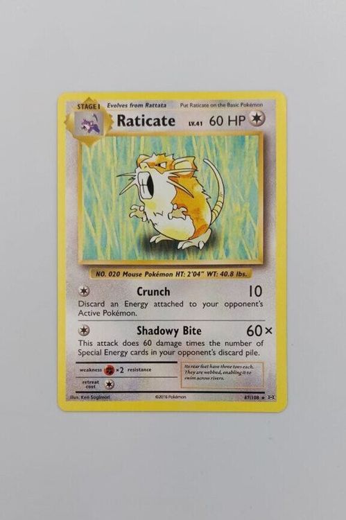 Raticate (67/108 XY Evolutions) NM / ENG (Gebraucht) in COINTRIN für ...