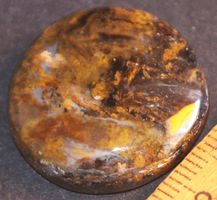 Cabochon L-3892 – Schwarzer Goldener Opal 24x24mm