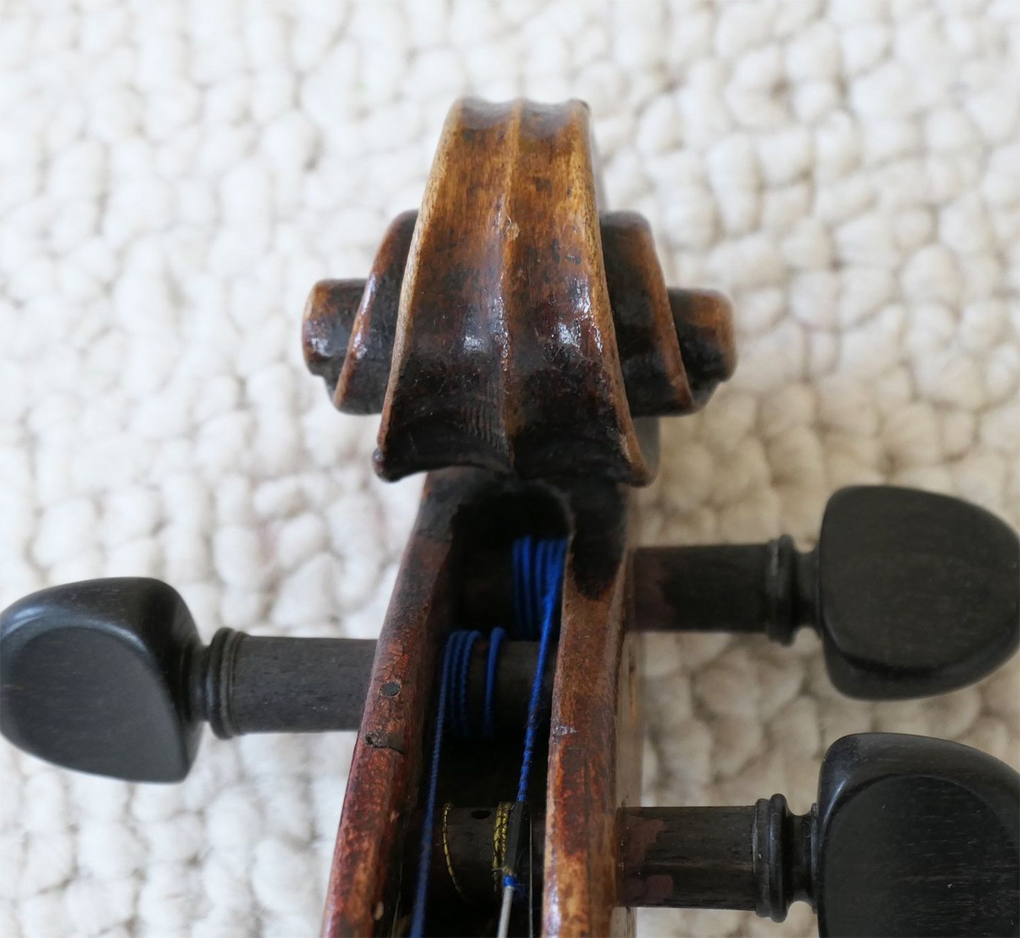 Strumenti musicali: alte Violine – Usato da Wila venduto da Amigo77 4