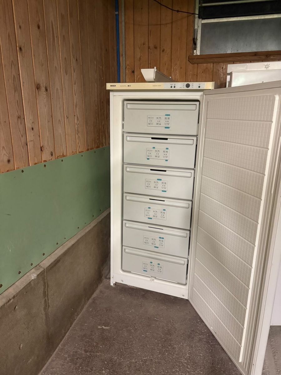 Gefrierschrank: Bosch Tiefkühlschrank – Gebraucht aus Rapperswil SG von kat_rw8q 2